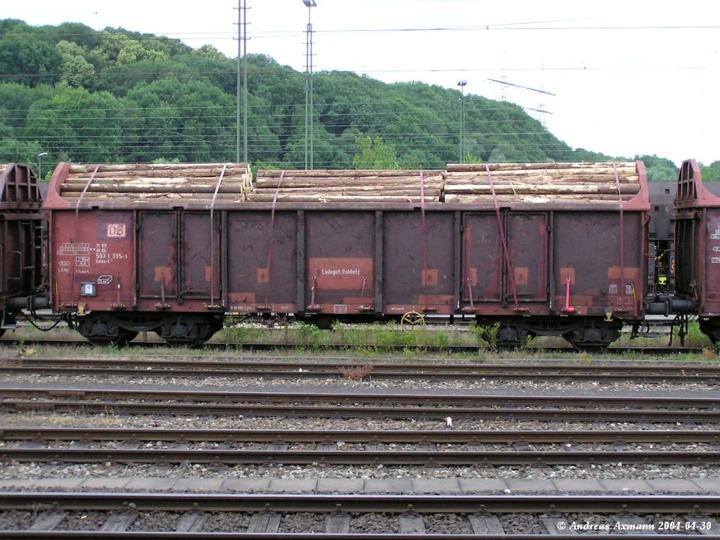 Rohholzwagen [31 80 593 1 395-3  Ealos-t] in Plochingen. (30.04.2004)