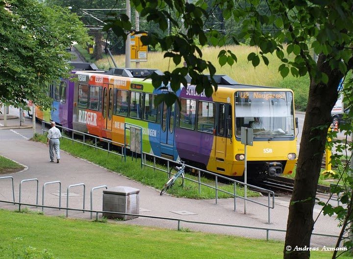 Stadtbahn Stuttgart, U2 hier mit Fahrzeug 3065 DUEWAG DT8.4 nach Neugereut bei der einfahrt in die Haltestelle Wilhelma. (28.06.2009)