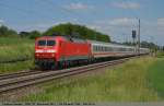 Die frisch entbl�tterte 120 ...  Andreas Axmann 24.05.2011