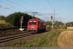 Nachdem die �BB 1216 ...  Andreas Axmann 31.08.2010