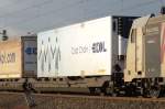 containertragwagen Foto-Trailer der Fa. Ekol Gmbh. (26,02,2012)