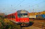 Hier ein Steuerwagen auf ...  Andreas Axmann 12.11.2011
