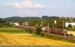 Mit einem Gemischten G�terzug f�hrt 185 008-0 um 19:44 Uhr ...