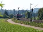 8x 218er (218 223, ...  Andreas Axmann 26.12.2009