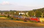 sattelauflieger-klv Fast h�tte ich ihn noch verpasst, 152 142-6 zieht einen KLV-Zug um 20:21 Uhr in Richtung Stuttgart. (18,07,2010)