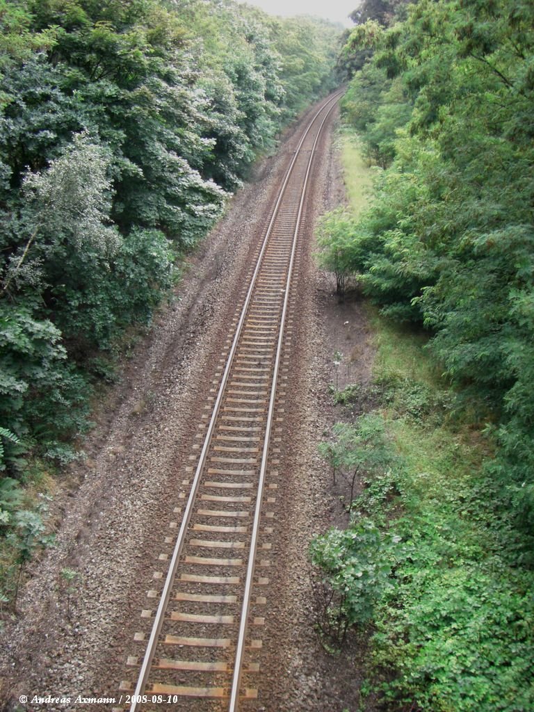 Strecke von der Lausitzer Neie-Brcke in Richtung Horka Gbf an der Bahnstrecke Węgliniec–Falkenberg/Elster. Streckennummer: DB 6207, PKP 295. (11.08.2008)